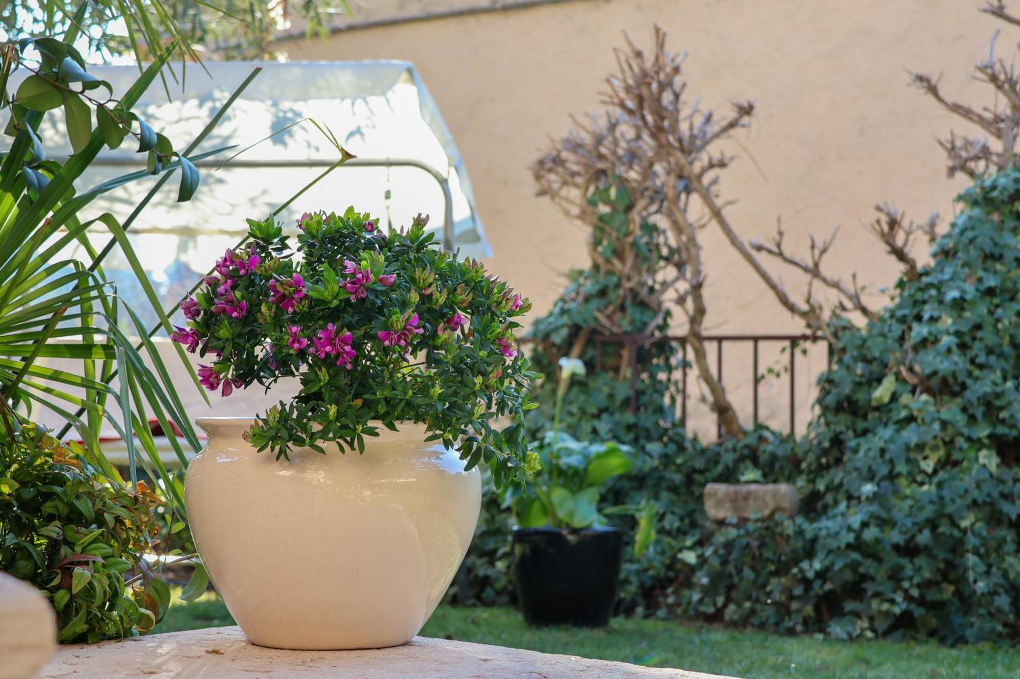 Aurelia Maison Verona Kültér fotó